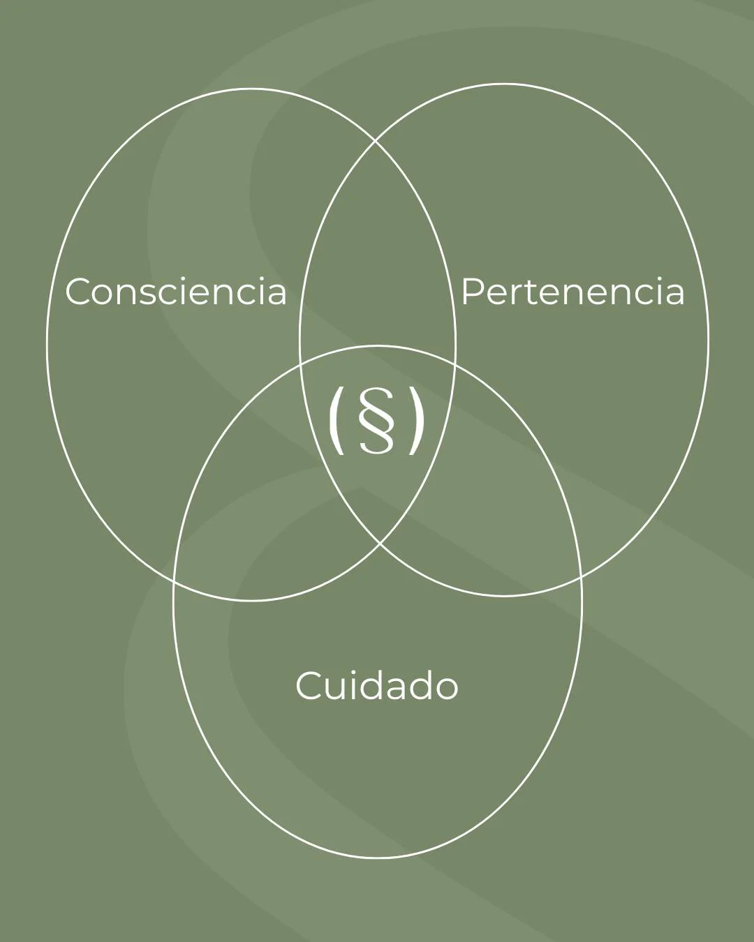 Sala de clases de Senza